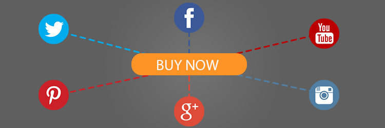 social ecommerce